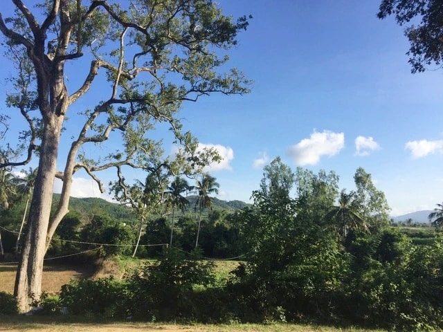 Tái hiện lịch sử sống động của các vùng đất