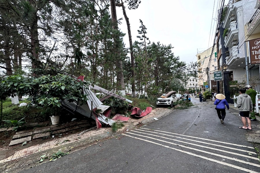Lâm Đồng: Gió mạnh làm gãy đổ cây, hư hỏng ô tô