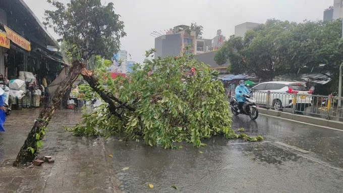 TP. Hồ Chí Minh sẵn sàng ứng phó bão số 3, bảo đảm an toàn tuyệt đối cho người dân