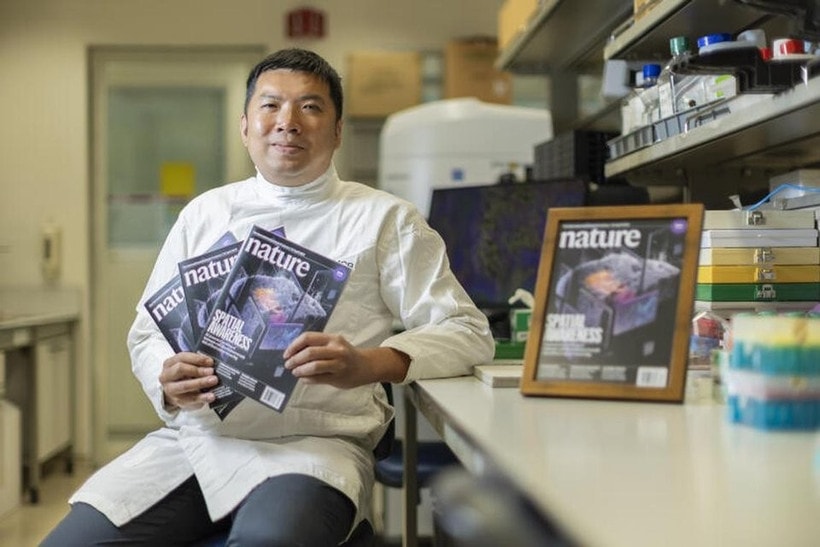 Singapore phát triển hệ thống AI dự đoán tái phát ung thư gan với độ chính xác cao