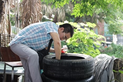 Hà Nội: Sốt xuất huyết và tay chân miệng gia tăng, xuất hiện nhiều ổ dịch đang hoạt động