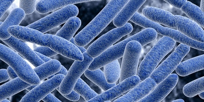 Bộ Y tế khuyến cáo: Chủ động phòng bệnh lỵ trực trùng cho trẻ nhỏ