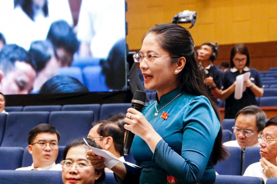 Đại biểu HĐND TP. Hồ Chí Minh kiến nghị cần có đội quản lý trật tự đô thị phường, xã