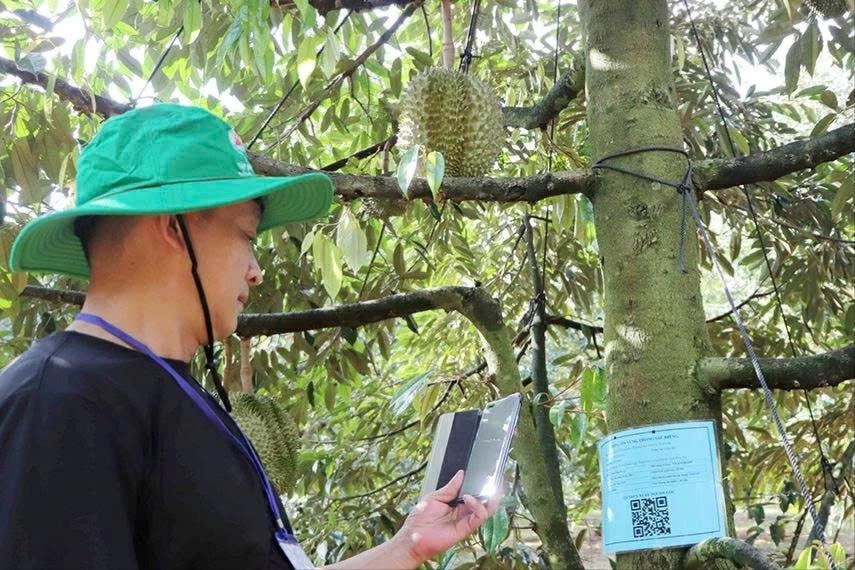 Đẩy mạnh chuyển đổi số nông nghiệp