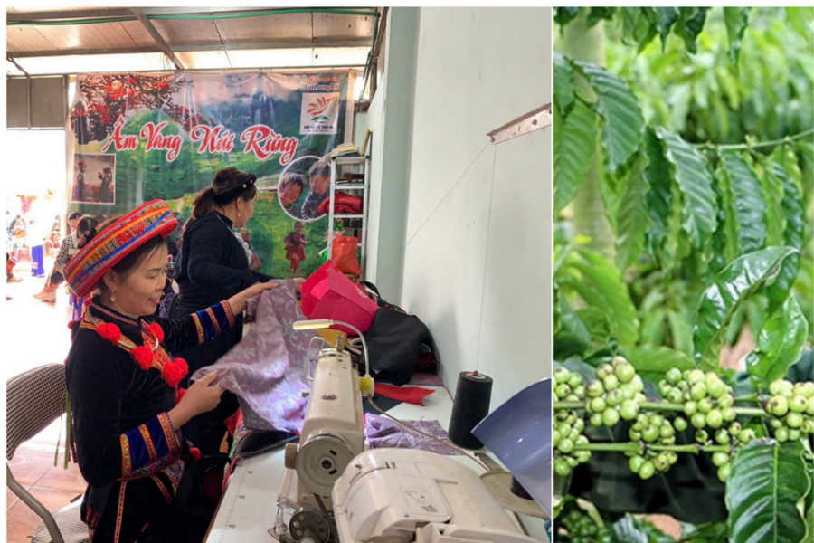 Thực hiện các chương trình mục tiêu quốc gia đồng bộ với mô hình chính quyền địa phương hai cấp