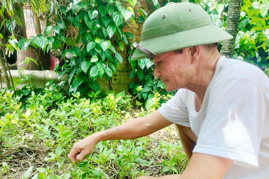Người lính lái xe trên đường Trường Sơn huyền thoại