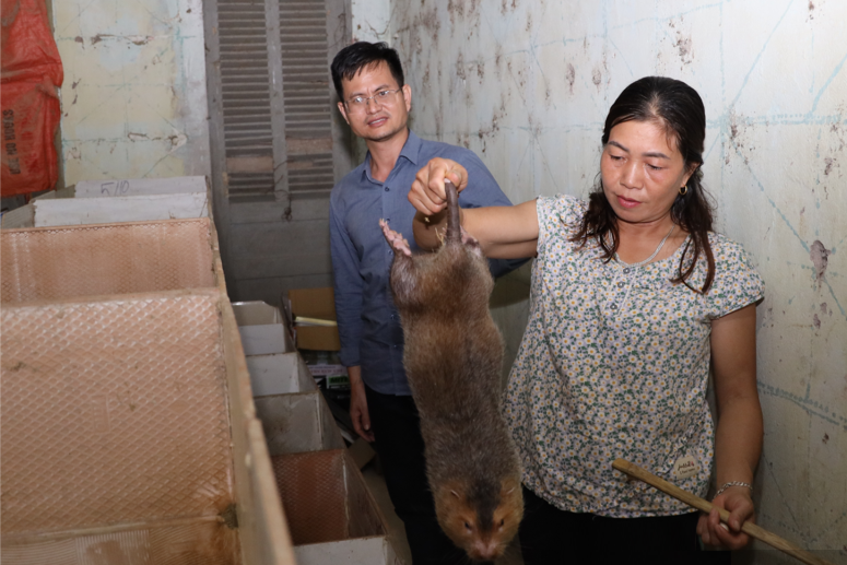 Nữ nông dân người Thái và cơ nghiệp tiền tỷ từ con dúi