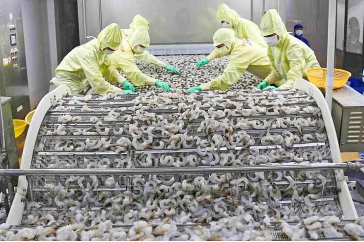 Ba yếu tố quyết định triển vọng xuất khẩu tôm nửa cuối năm 2025