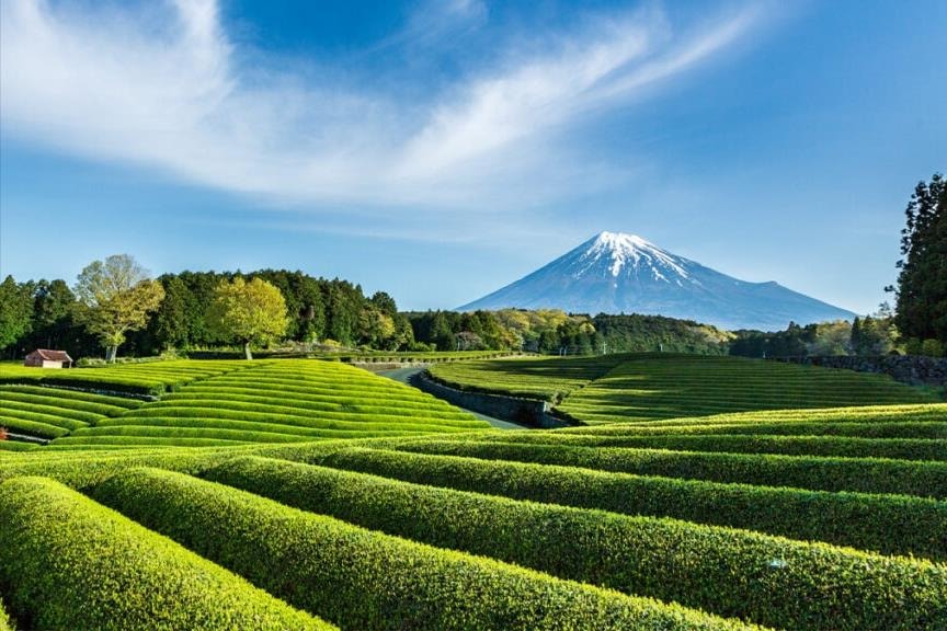 Nhật Bản thúc đẩy đa dạng sinh học từ cấp địa phương