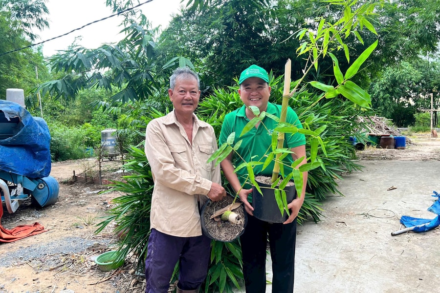 Khơi dậy tiềm năng tre Việt, lan tỏa sáng kiến “Lũy Tre Làng”
