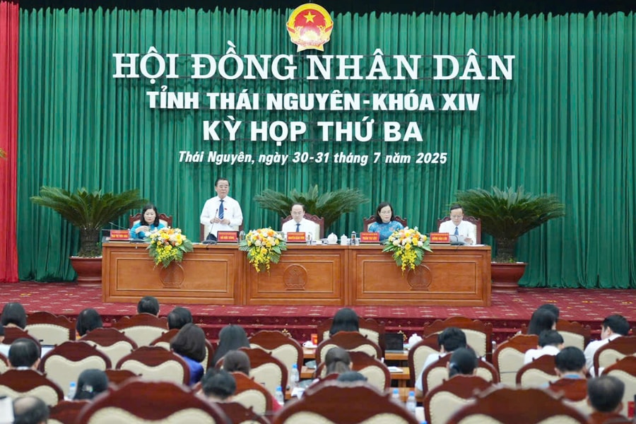 Đẩy mạnh sản xuất chè an toàn, hữu cơ gắn với chế biến sâu