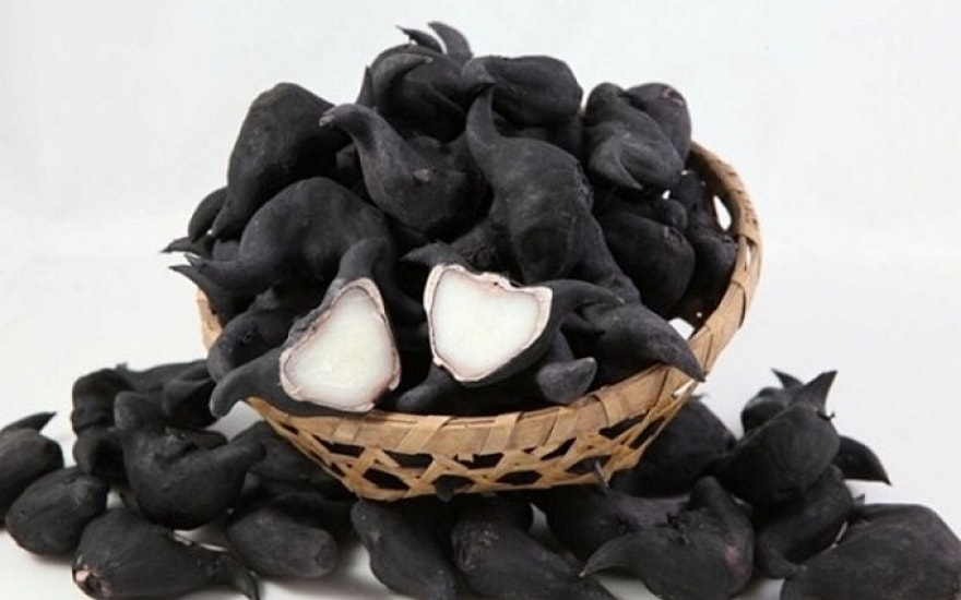 Cẩn trọng với củ ấu tàu: Vị thuốc Đông y có thể gây tử vong nếu dùng sai cách