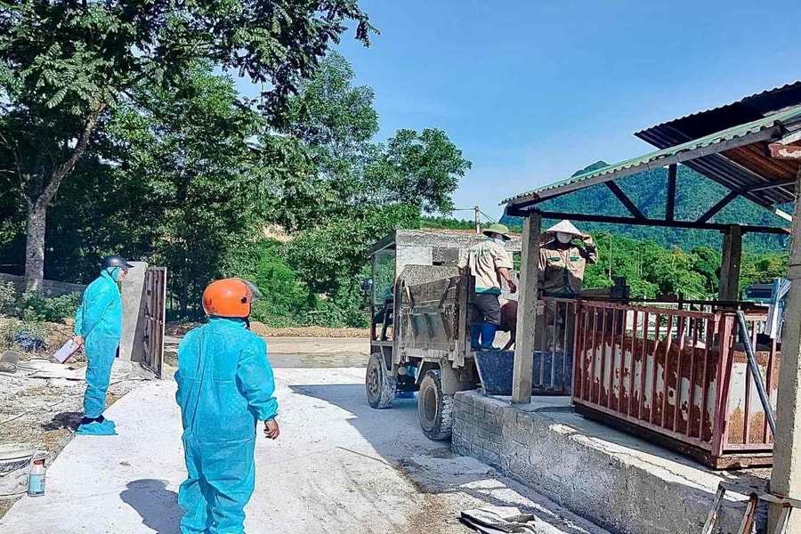 Phú Thọ khẩn trương khống chế dịch tả lợn châu Phi
