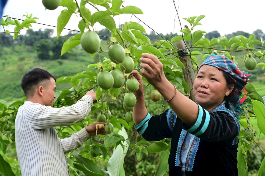 Trao cơ hội cho thanh niên vùng dân tộc thiểu số vươn lên thoát nghèo