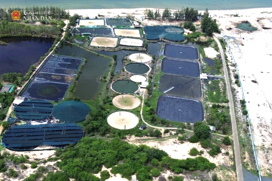 Vụ bồi thường "0 đồng" về đất tại Dự án KCN Sơn Mỹ I: Tổ chức đối thoại, thẩm định tại chỗ