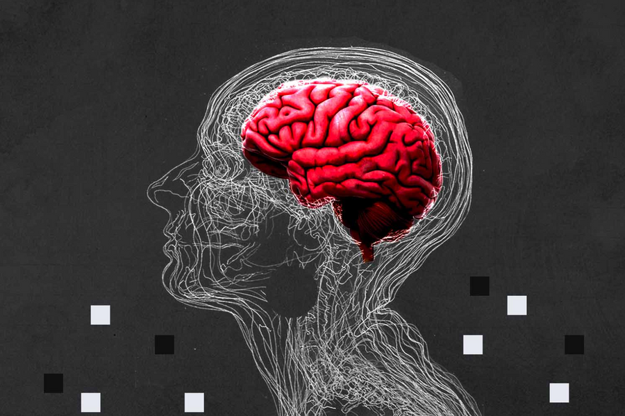 Chảy máu chất xám thời AI: Thách thức giữ gìn trí não trong giáo dục