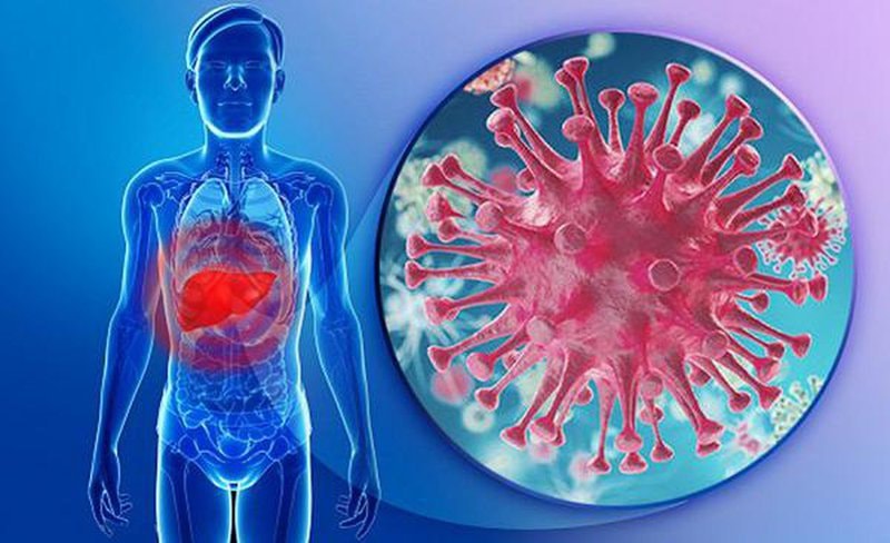 Viêm gan virus: “Sát thủ” thầm lặng cho sức khoẻ