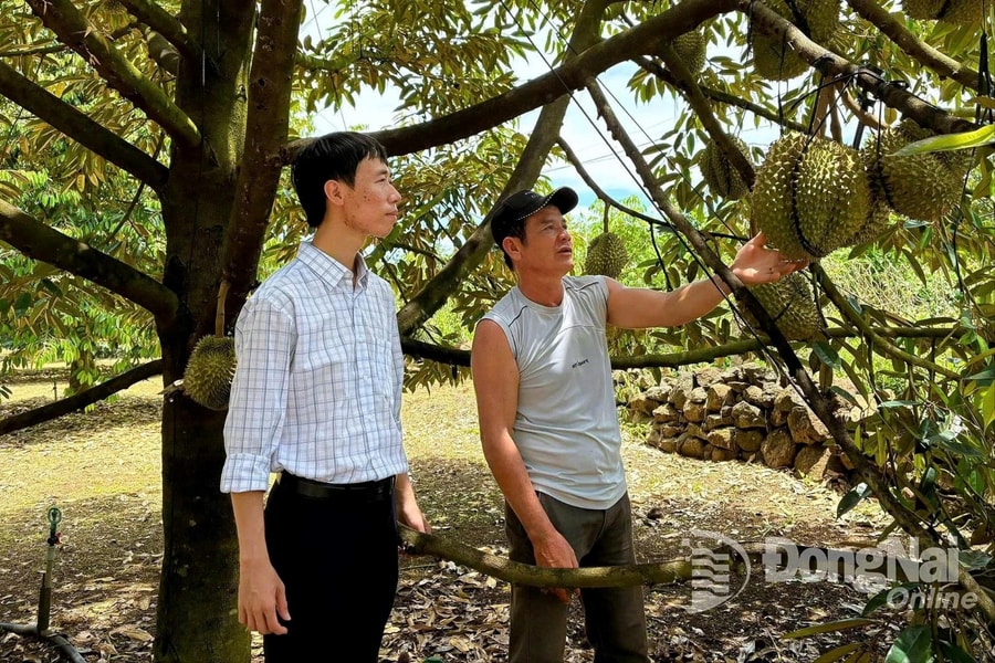 Nỗ lực chuyển dịch cơ cấu kinh tế nông thôn