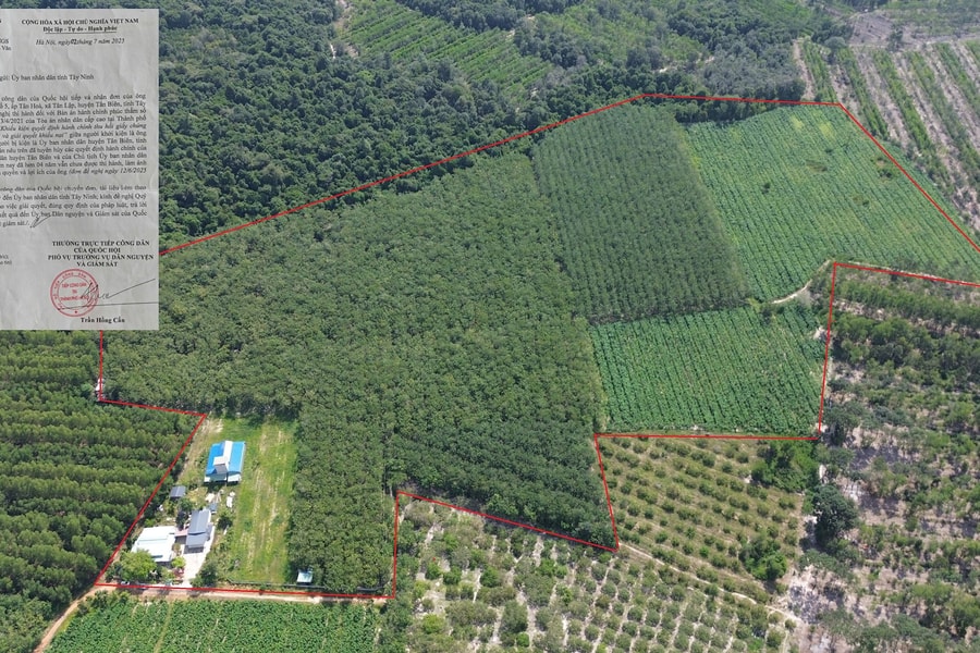 Tây Ninh: Người dân thắng kiện nhưng mòn mỏi chờ được thi hành bản án đã có hiệu lực