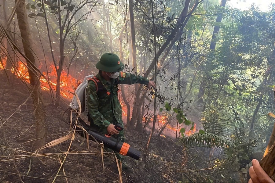 Quảng Trị: Xảy ra cháy rừng ở khu vực đèo Ngang