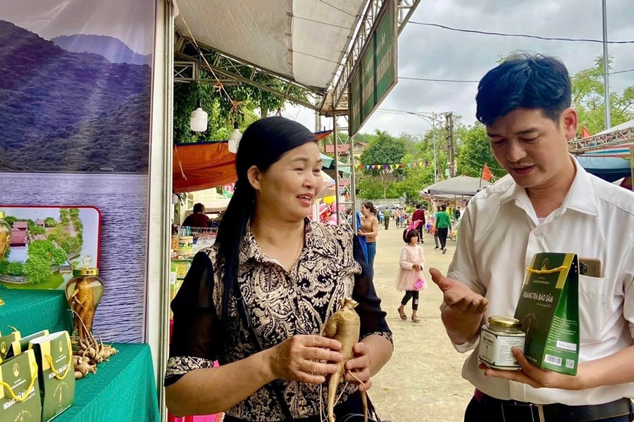 Ninh Bình: Ứng dụng khoa học công nghệ nâng cao giá trị cây dược liệu