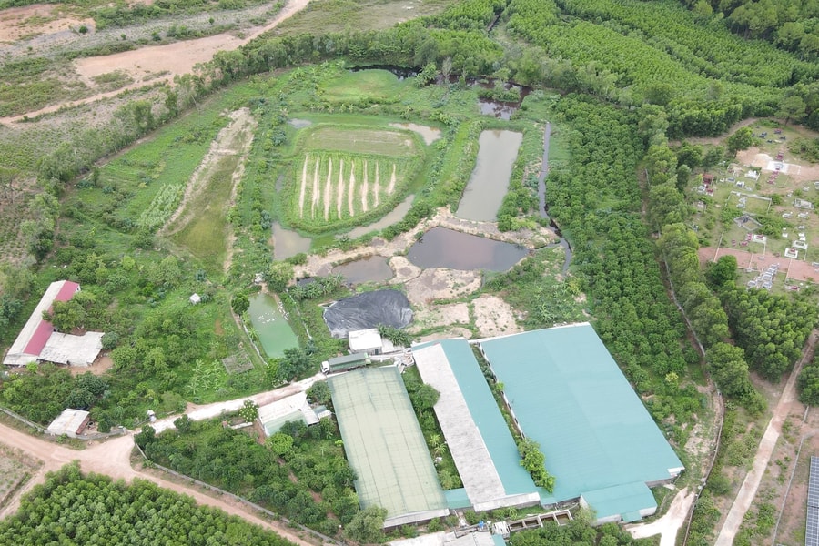 Hà Tĩnh: Hợp tác xã dịch vụ và chăn nuôi tổng hợp Hà Phi gây ô nhiễm, “bất tuân” yêu cầu của chính quyền?