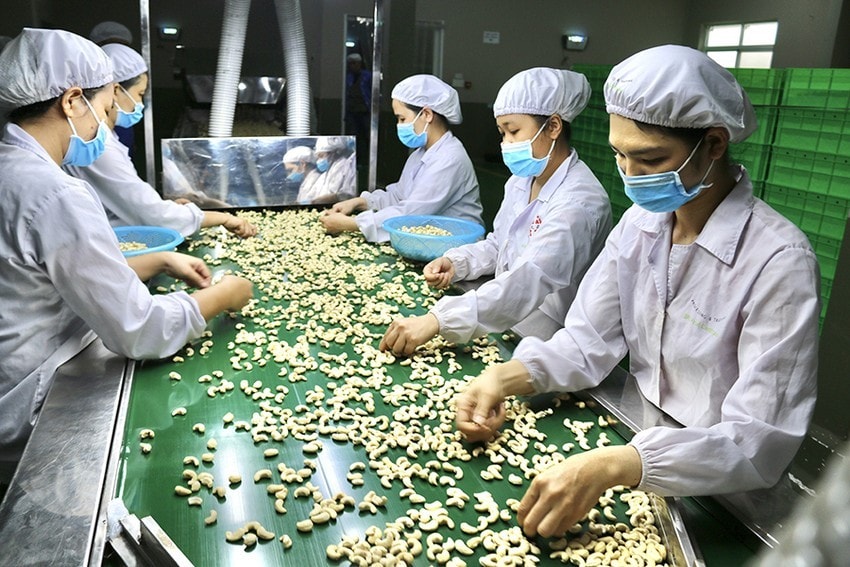 Đề xuất lập Quỹ bảo hiểm rủi ro thương mại quốc tế