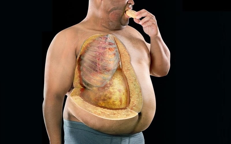 Top 10 thực phẩm hữu hiệu giúp "đốt cháy" mỡ nội tạng