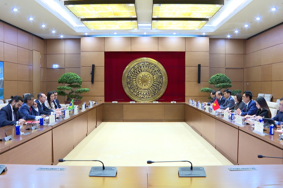 Quốc hội Việt Nam luôn coi trọng, mong muốn thúc đẩy hợp tác Quốc hội với Brazil