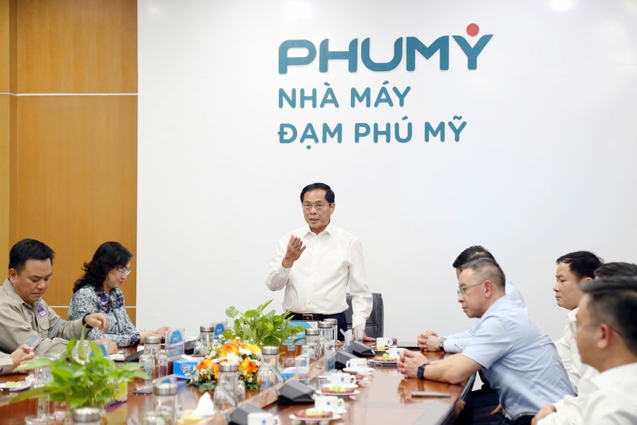 Phó Thủ tướng Bùi Thanh Sơn thăm nhà máy Đạm Phú Mỹ