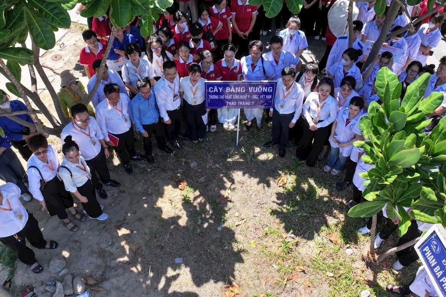 Sinh viên tham gia trồng bàng vuông, tri ân, kỷ niệm 80 năm Cách mạng Tháng Tám và Quốc khánh 2/9