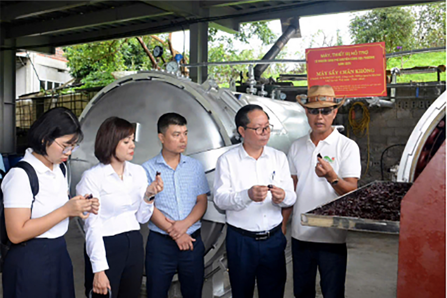 Sơn La đẩy nhanh tiến độ triển khai kế hoạch khuyến công