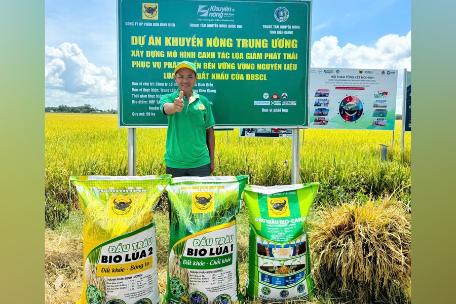 Giải pháp mới cho canh tác lúa gạo bền vững và giảm phát thải