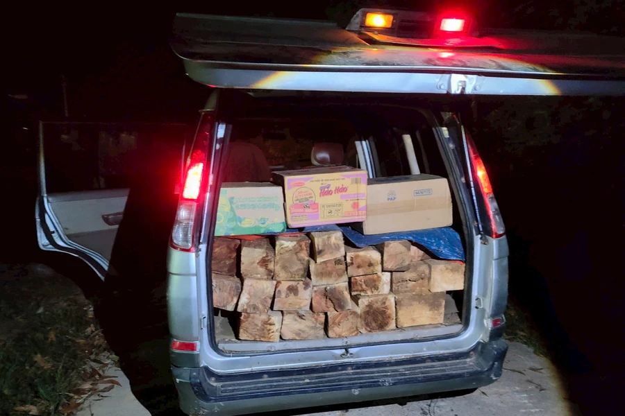 Đắk Lắk: Kịp thời ngăn chặn vụ vận chuyển gỗ trái phép