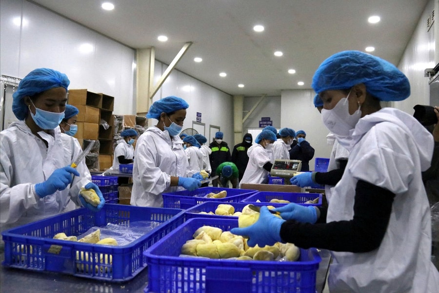 Tái cơ cấu để Đắk Lắk trở thành trung tâm nông nghiệp xanh