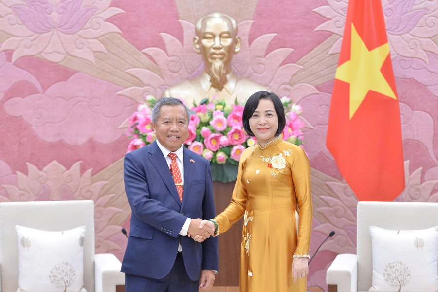 Phó Chủ tịch Quốc hội Nguyễn Thị Thanh tiếp Hội Hữu nghị Lào - Việt Nam