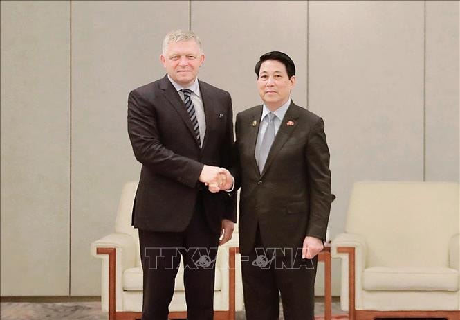 Chủ tịch nước Lương Cường tiếp Thủ tướng Slovakia Robert Fico