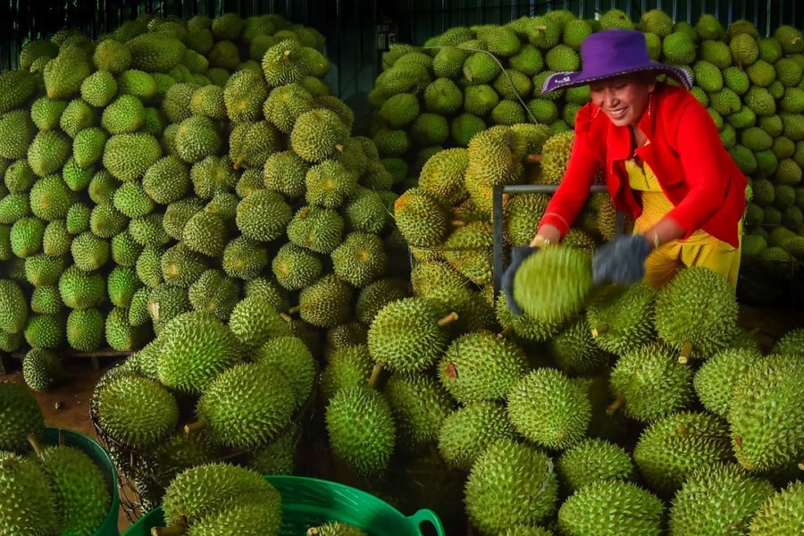 Phát triển sản xuất, nâng cao thu nhập