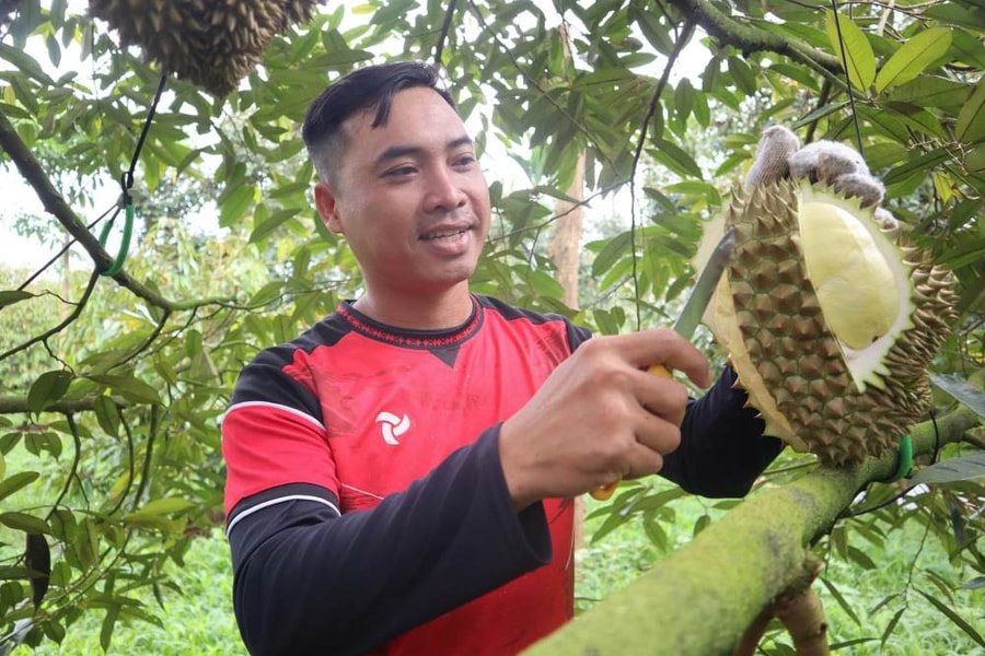 Kỹ thuật “gõ” chuẩn mở đường cho xuất khẩu