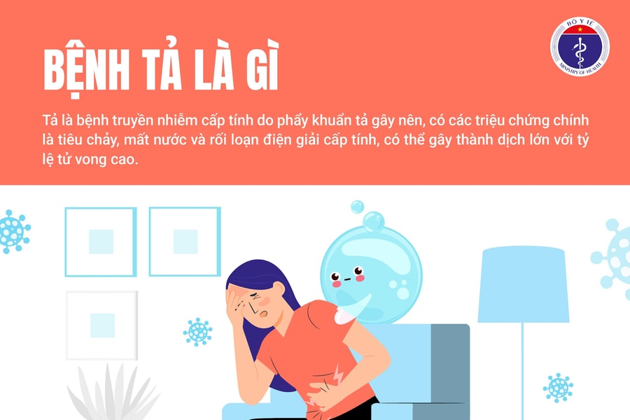 Nguy cơ dịch tả xâm nhập, Bộ Y tế yêu cầu giám sát chặt