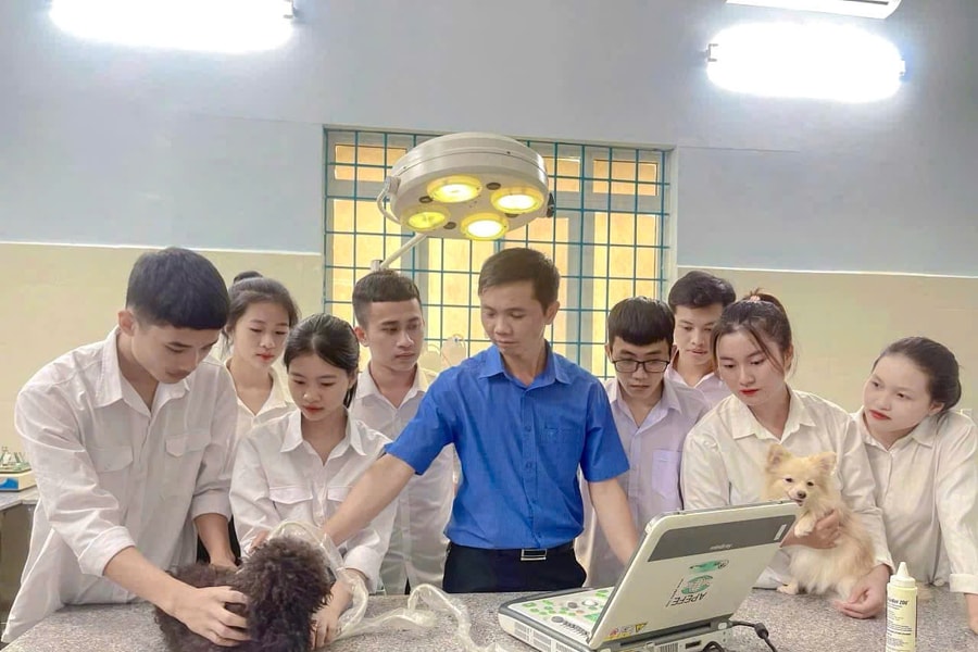 Đắk Lắk gắn đào tạo nghề với giải quyết việc làm bền vững