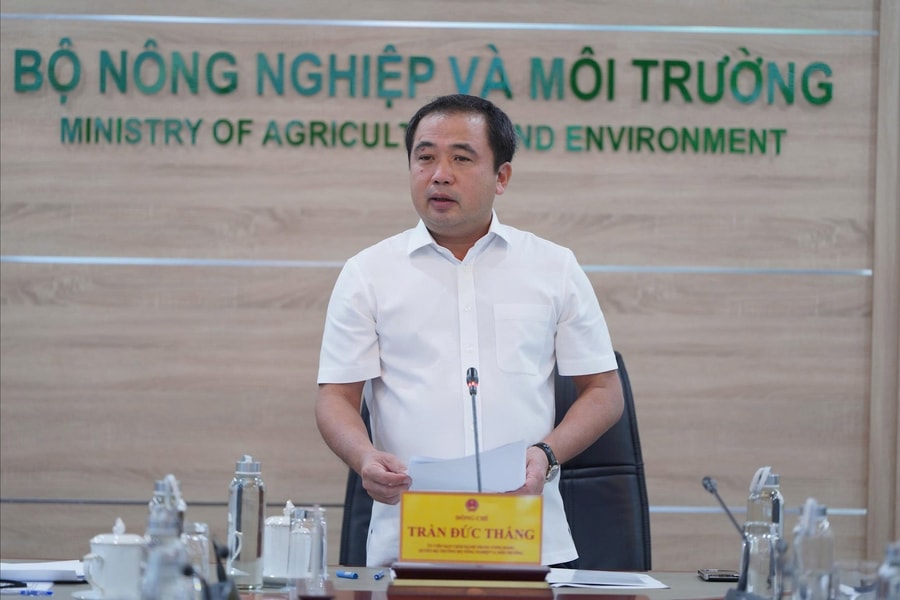 Thị trường gạo Việt Nam: Giữ nhịp ngắn hạn, chủ động chiến lược dài hạn