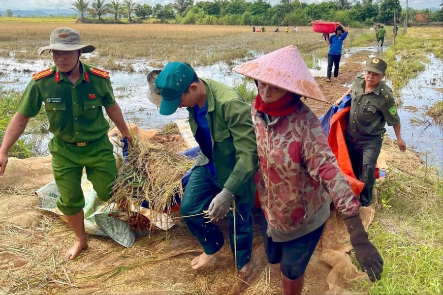 Đắk Lắk: Lực lượng công an và thanh niên Ea Na chung tay giúp dân thu hoạch lúa