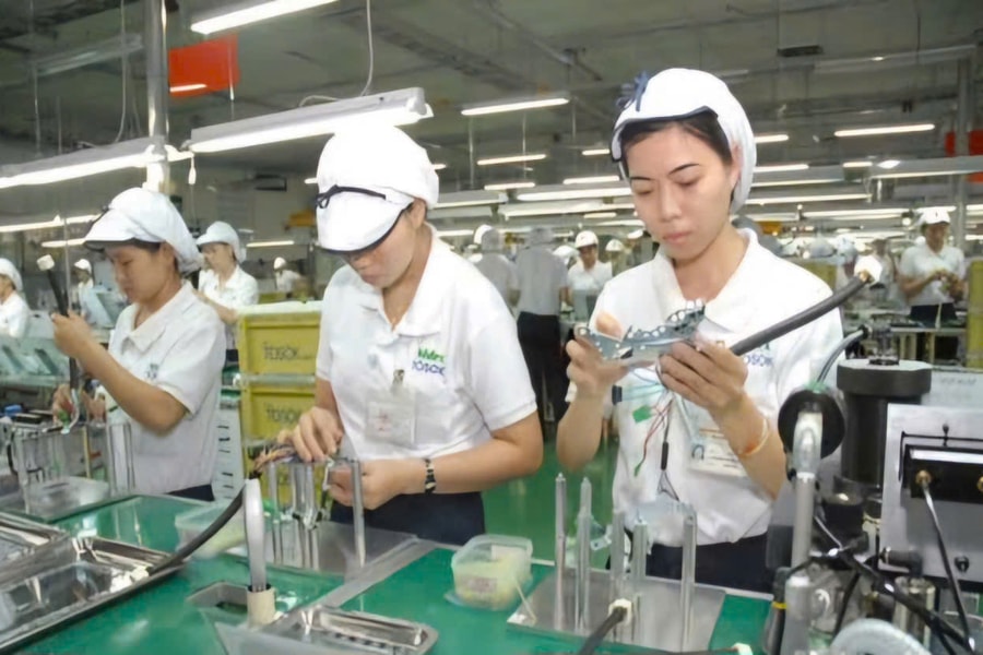 TP. Hồ Chí Minh: Thu thập, cập nhật, chỉnh sửa, tổng hợp thông tin về người lao động