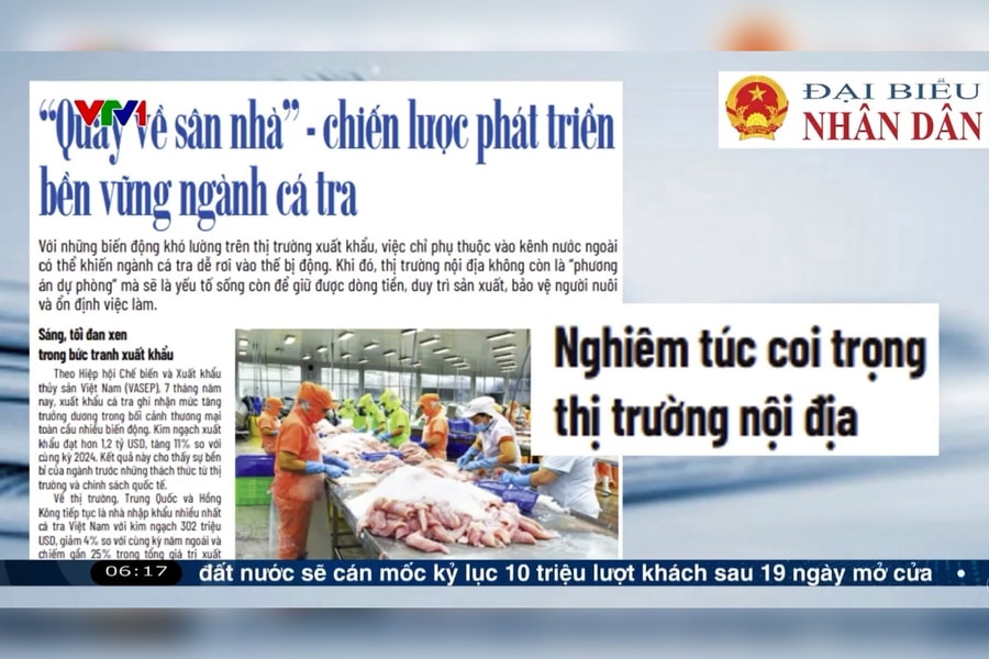 Điểm báo VTV1: “Quay về sân nhà” - chiến lược phát triển bền vững ngành cá tra