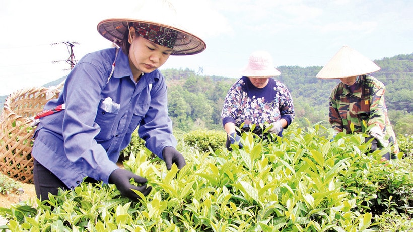 Lạng Sơn đầu tư hạ tầng thiết yếu, nhân rộng mô hình giảm nghèo điển hình