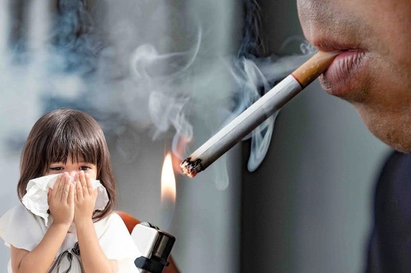 Hà Tĩnh: Đảm bảo việc thực hiện nghiêm Luật phòng, chống tác hại của thuốc lá