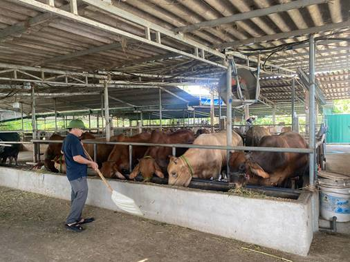 Ứng dụng công nghệ cao vào chăn nuôi