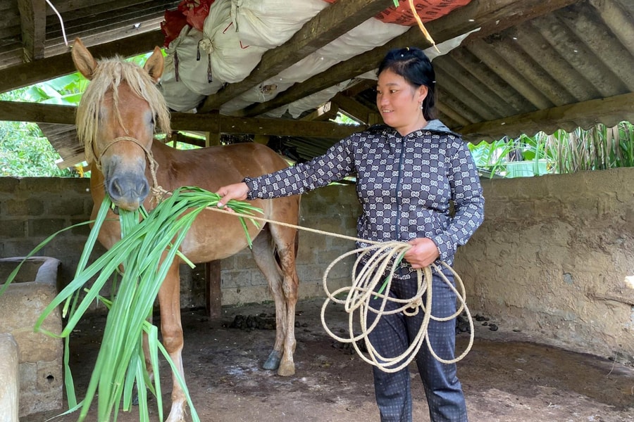Mở hướng thoát nghèo bền vững