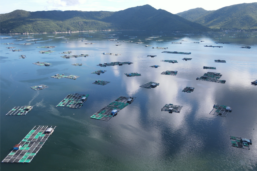 Khánh Hòa ban hành quy định nuôi trồng thủy sản bằng lồng bè tại vịnh Cam Ranh